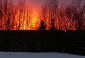 Sun Set